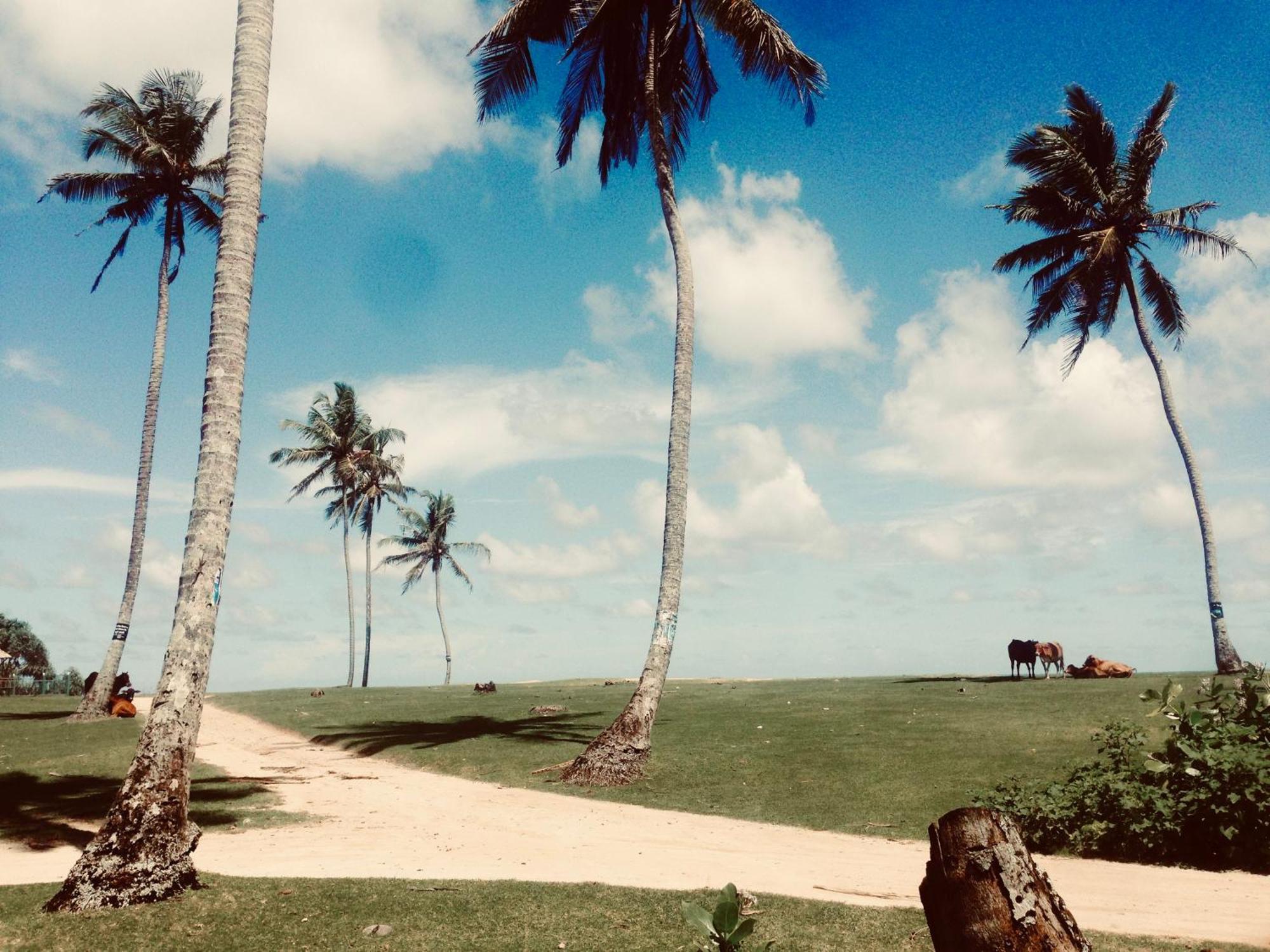 Dorian Guest House And Restaurant Weligama Eksteriør bilde